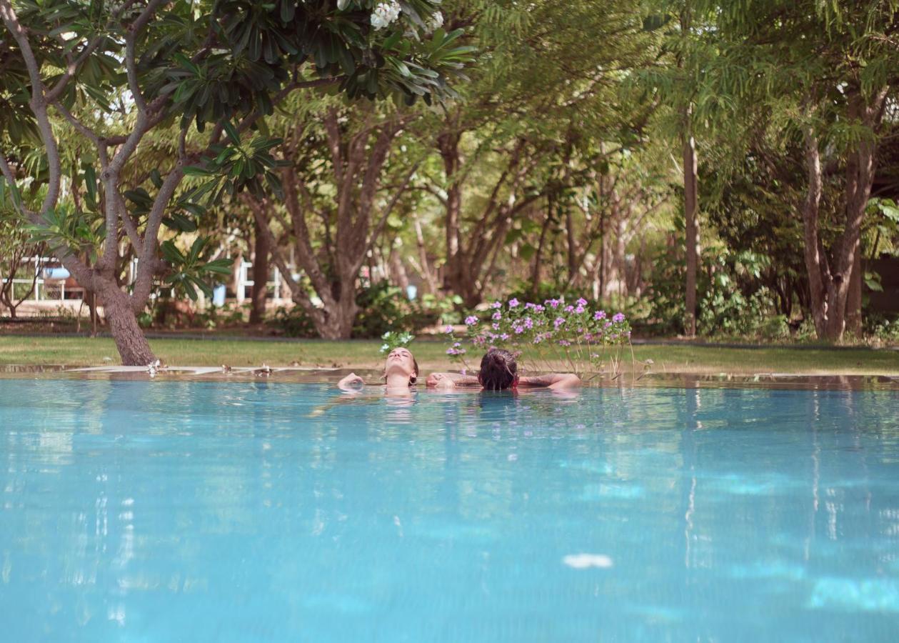Pushkarorganic - Lux Farm Resort With Pool Exteriör bild