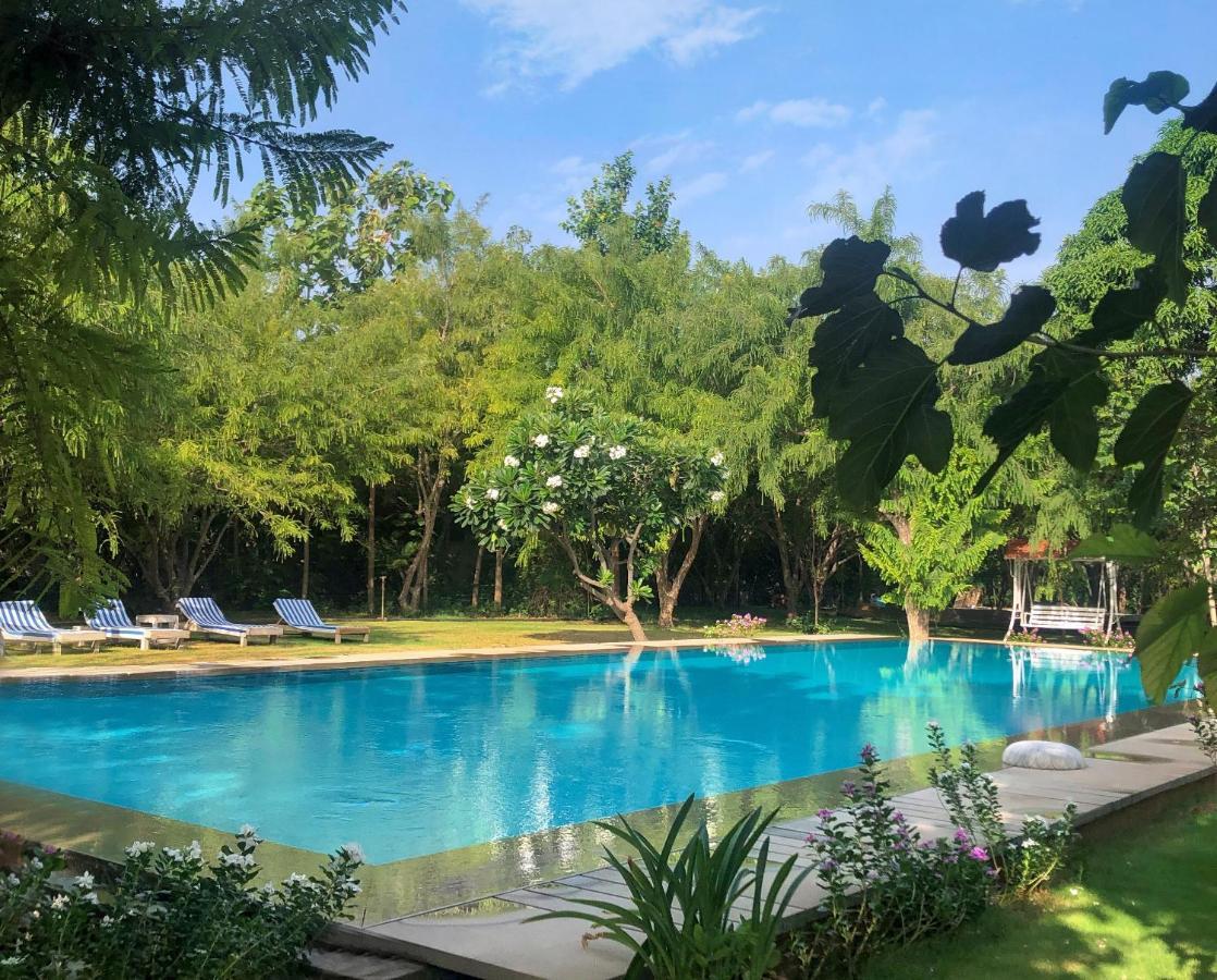 Pushkarorganic - Lux Farm Resort With Pool Exteriör bild