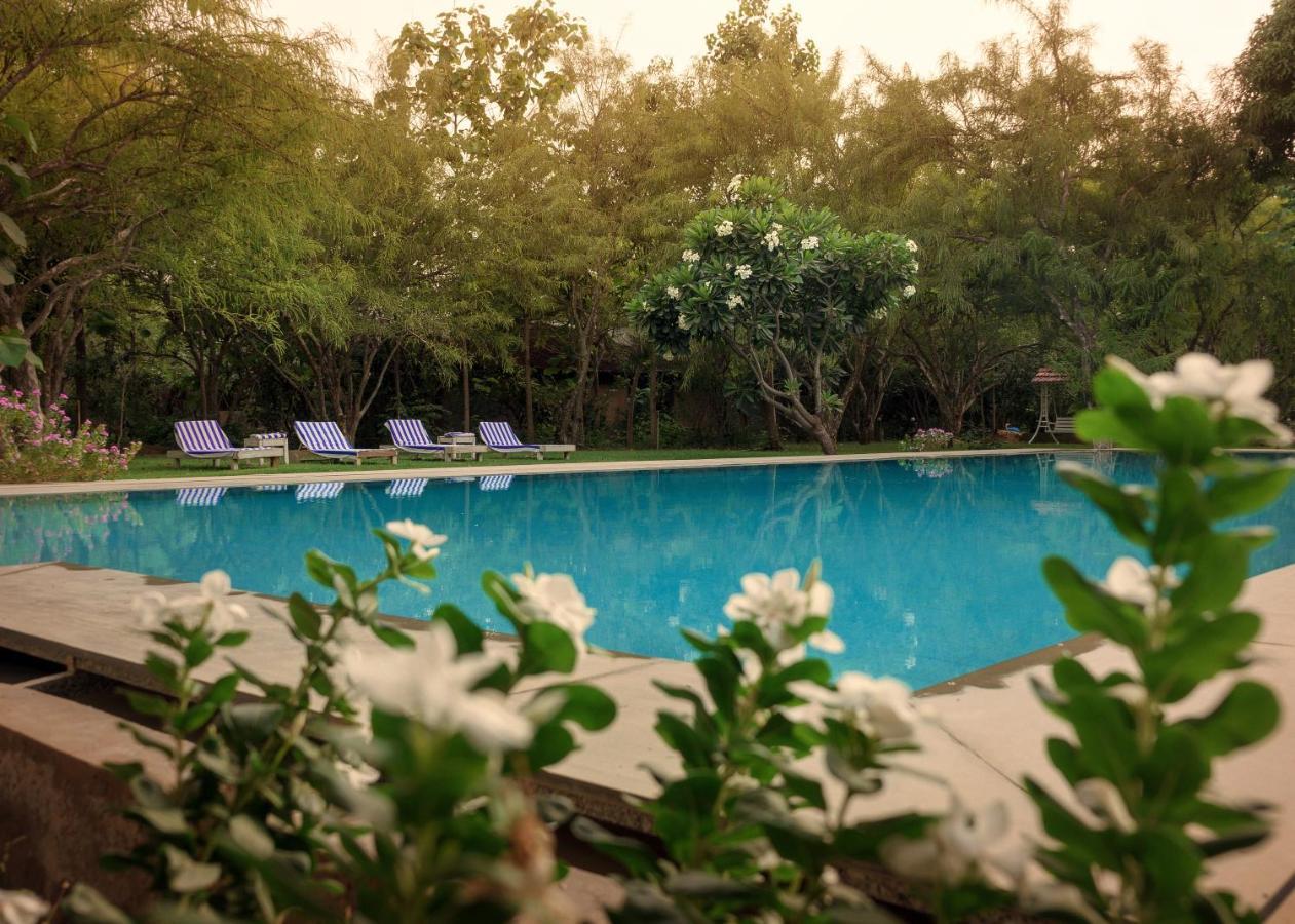Pushkarorganic - Lux Farm Resort With Pool Exteriör bild